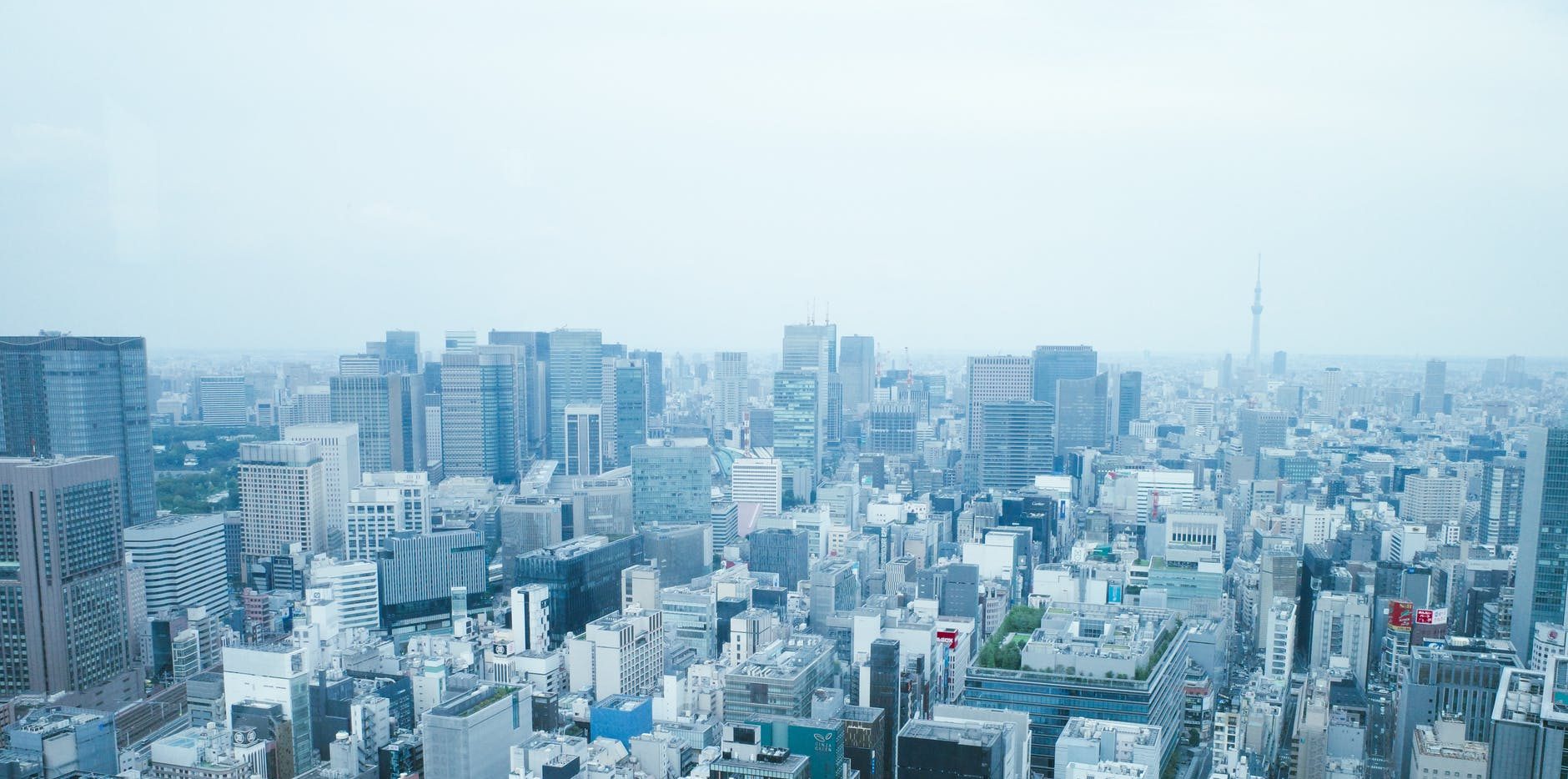 People Tree 商品分類頁主圖