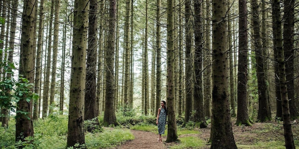 NO NASTIES 果阿純植有機棉設計舒著