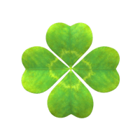 four leaf clover