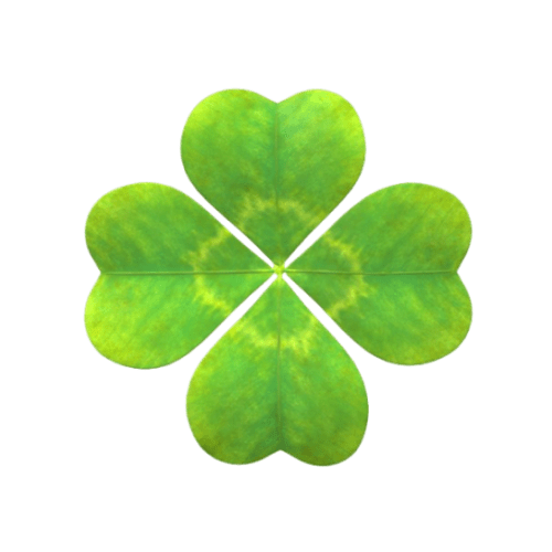 four leaf clover