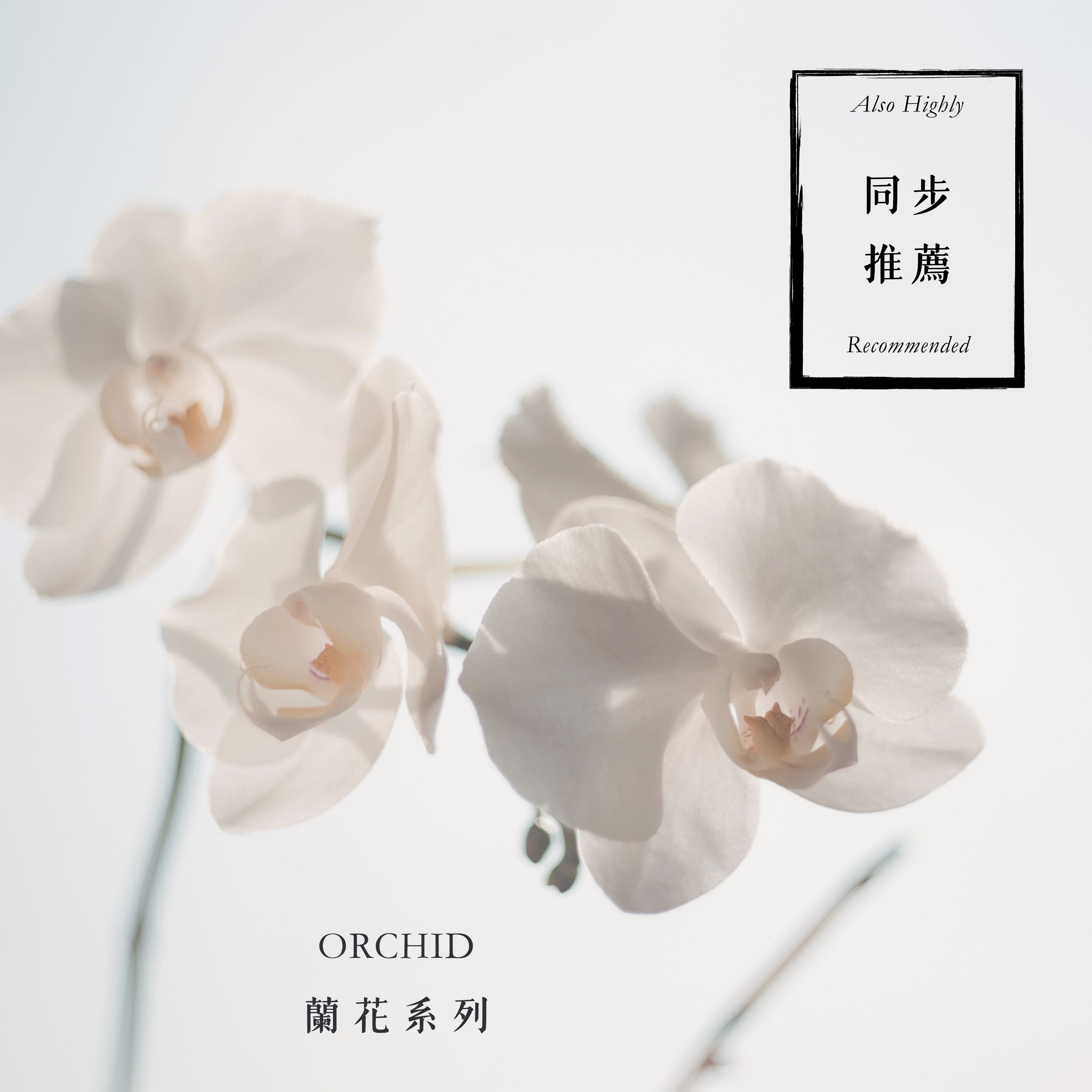 Balizen峇里手作 蘭花系列公平貿易環保永續手工藝商品 Orchid Series