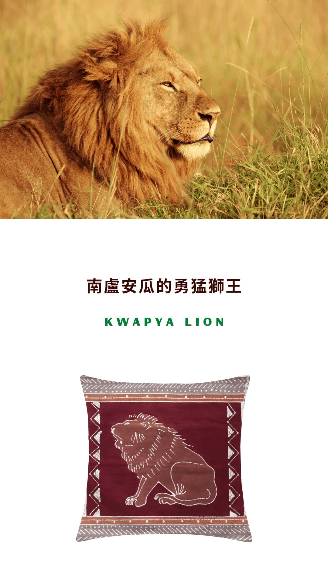 Tribal Textiles Kwapya Lion 南盧安瓜的勇猛獅王