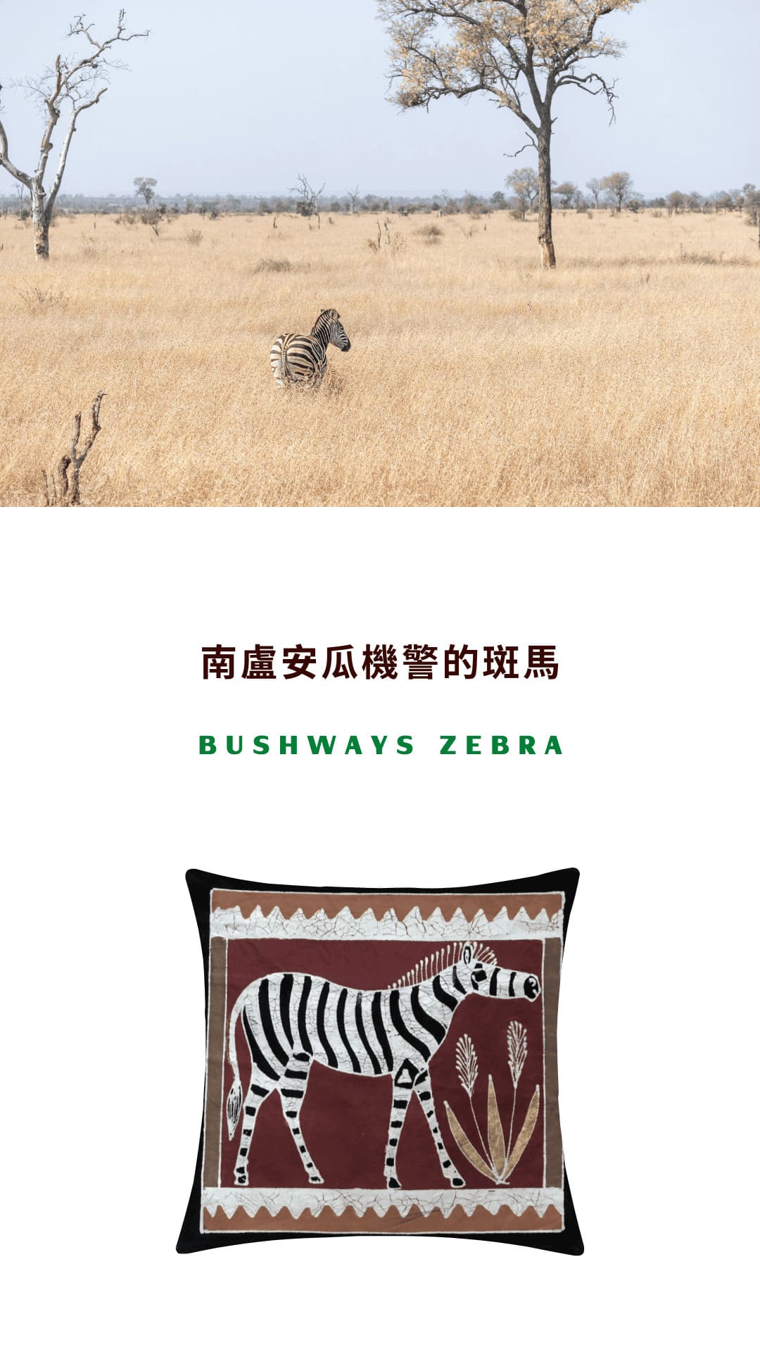Tribal Textiles Bushways Zebra 南盧安瓜機警的斑馬