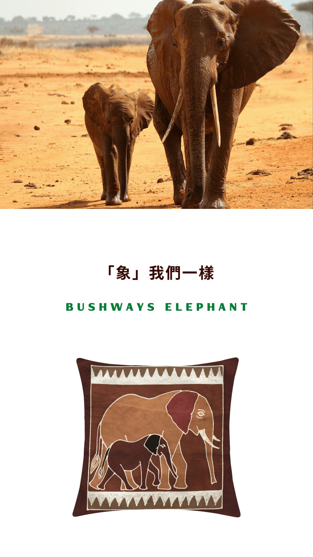 Tribal Textiles Bushways Elephant「象」我們一樣