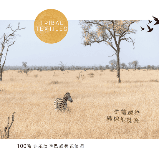 Tribal Textiles 尚比亞粗獷派手繪蠟染純棉抱枕套，A . A 台灣獨賣