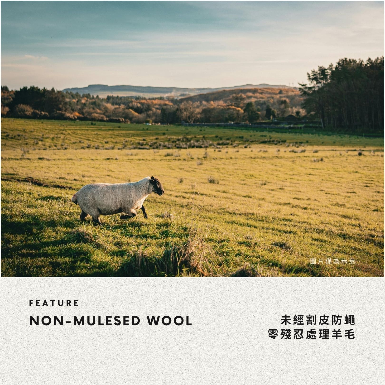 People Tree Japan 手工針織羊毛牛角扣披肩圍巾，選擇羊隻未遭割皮防蠅虐待的 non-mulesed 零殘忍處理羊毛